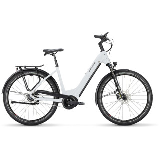 FALTER E-BIKE 9.0 MED...