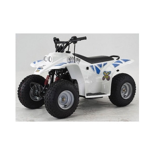 SMC ATV BUZZ MINI 50CC